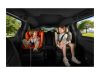 RECARO VELIX 1 i-Size 76-150 cm Wow Pink