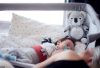 CHIPOLINO PROJEKTOROS ZENÉLŐ PLÜSS JÁTÉK - KOALA