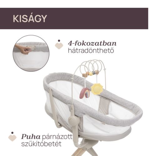 CHICCO Baby Hug Armonia 4in1 bölcső-szék Mother Pearl CH0808715784