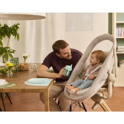 CHICCO Baby Hug Armonia 4in1 bölcső-szék Mother Pearl CH0808715784