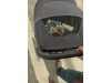 Inglesina Quid3 sport babakocsi Planet Green