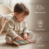 ZOPA Fa xilofon deluxe