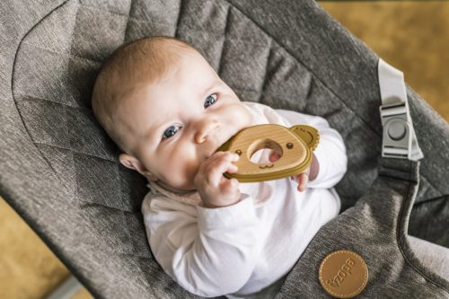 ZOPA Szilikon-fa rágóka Koala - galambszürke